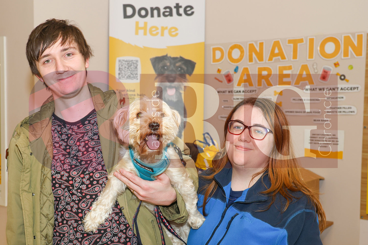DOG TRUST DENTON XMAS (28).JPG