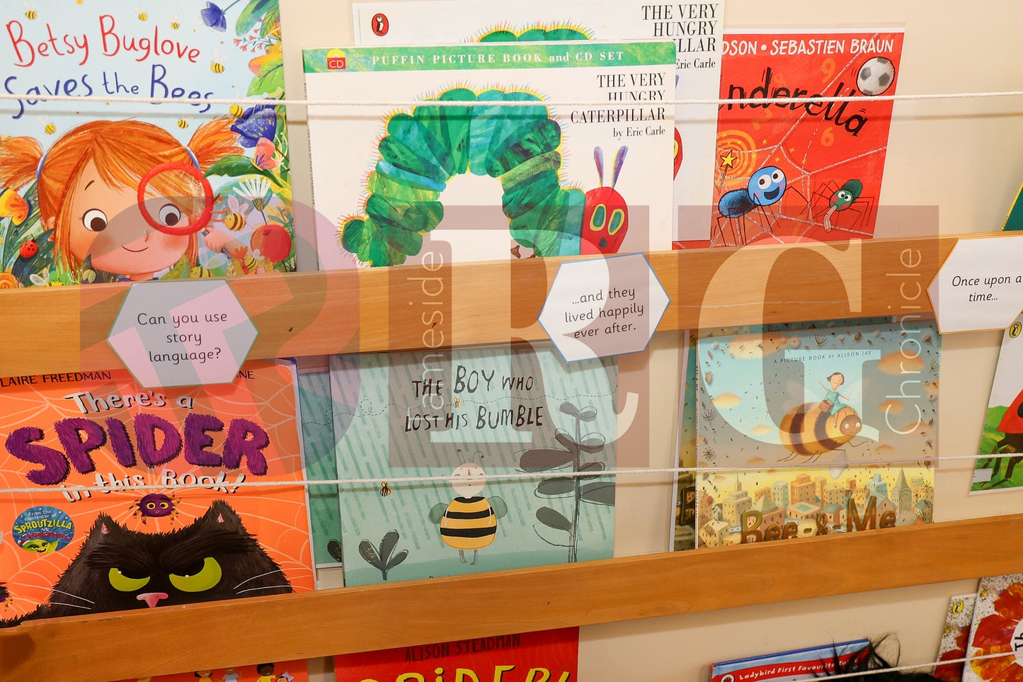 WILD BANK WORLD BOOK DAY 2025 (38).JPG