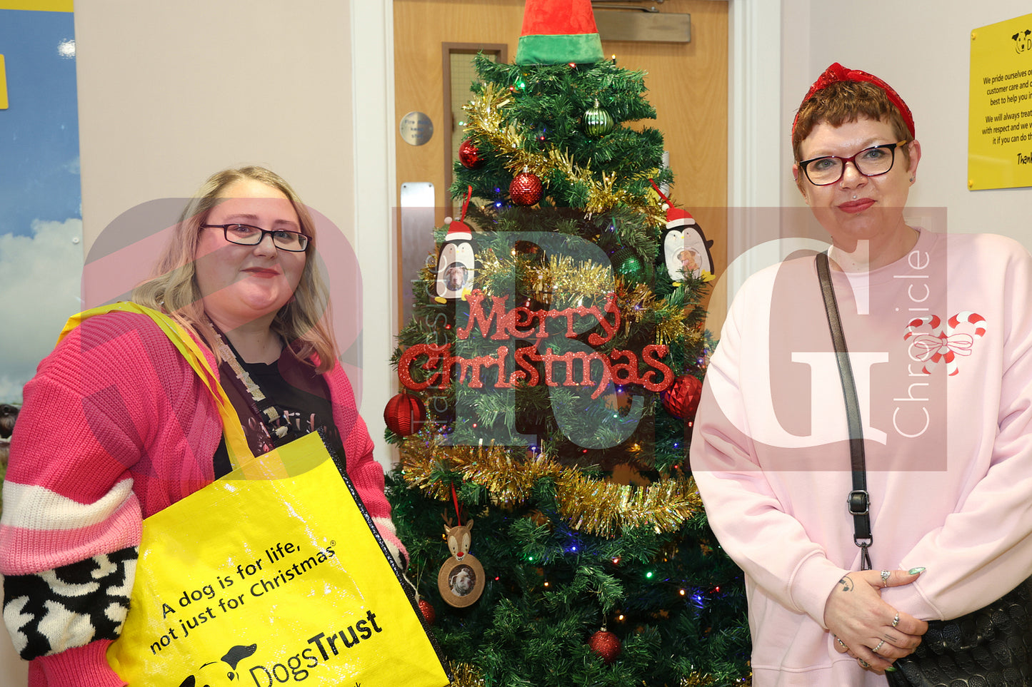 DOG TRUST DENTON XMAS (10).JPG