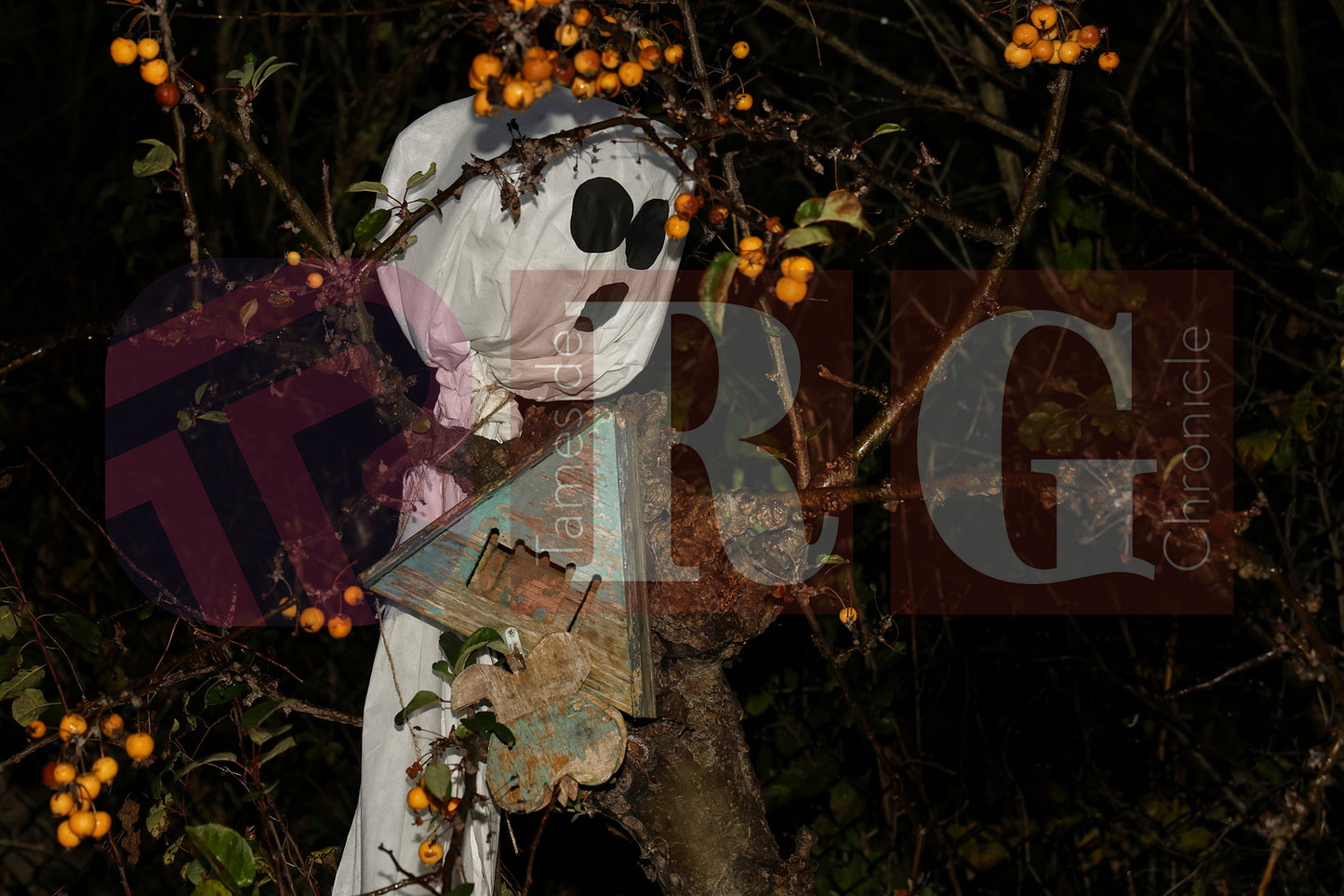 HALLOWEEN PARTY AT BLOOM HYDE (28).JPG