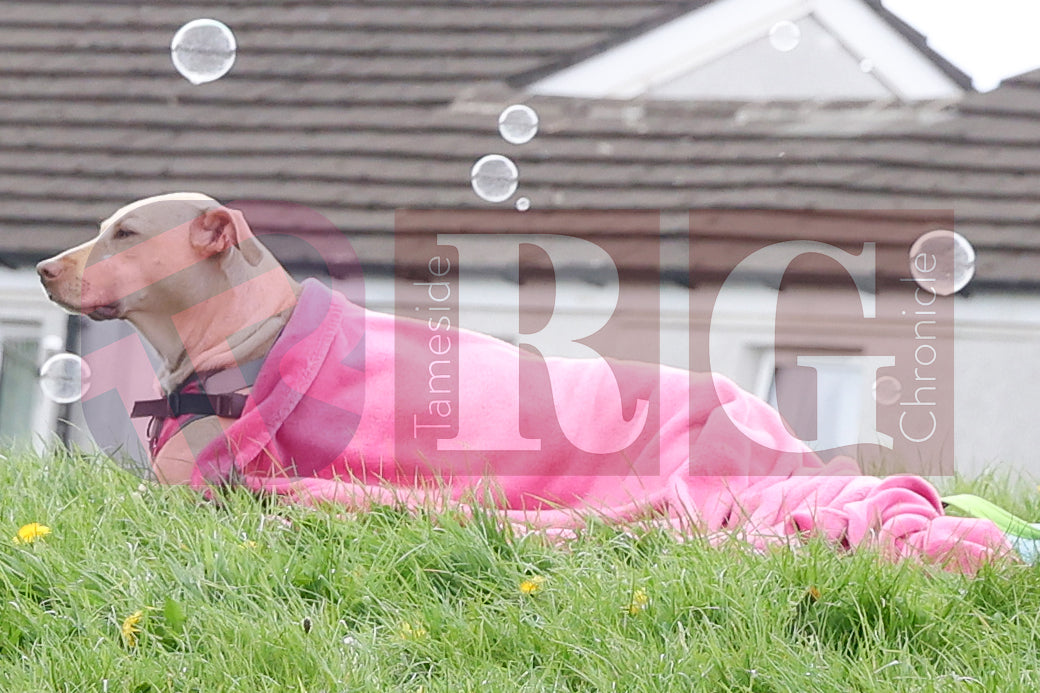 GAMESLEY COMMUNITY CENTRE CIO (74).JPG