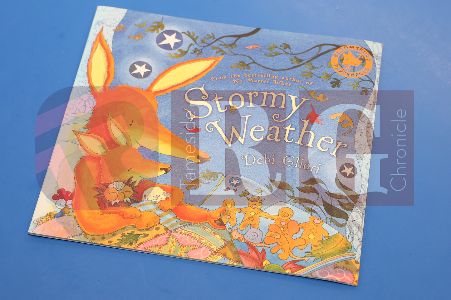 WILD BANK WORLD BOOK DAY 2025 (11).JPG