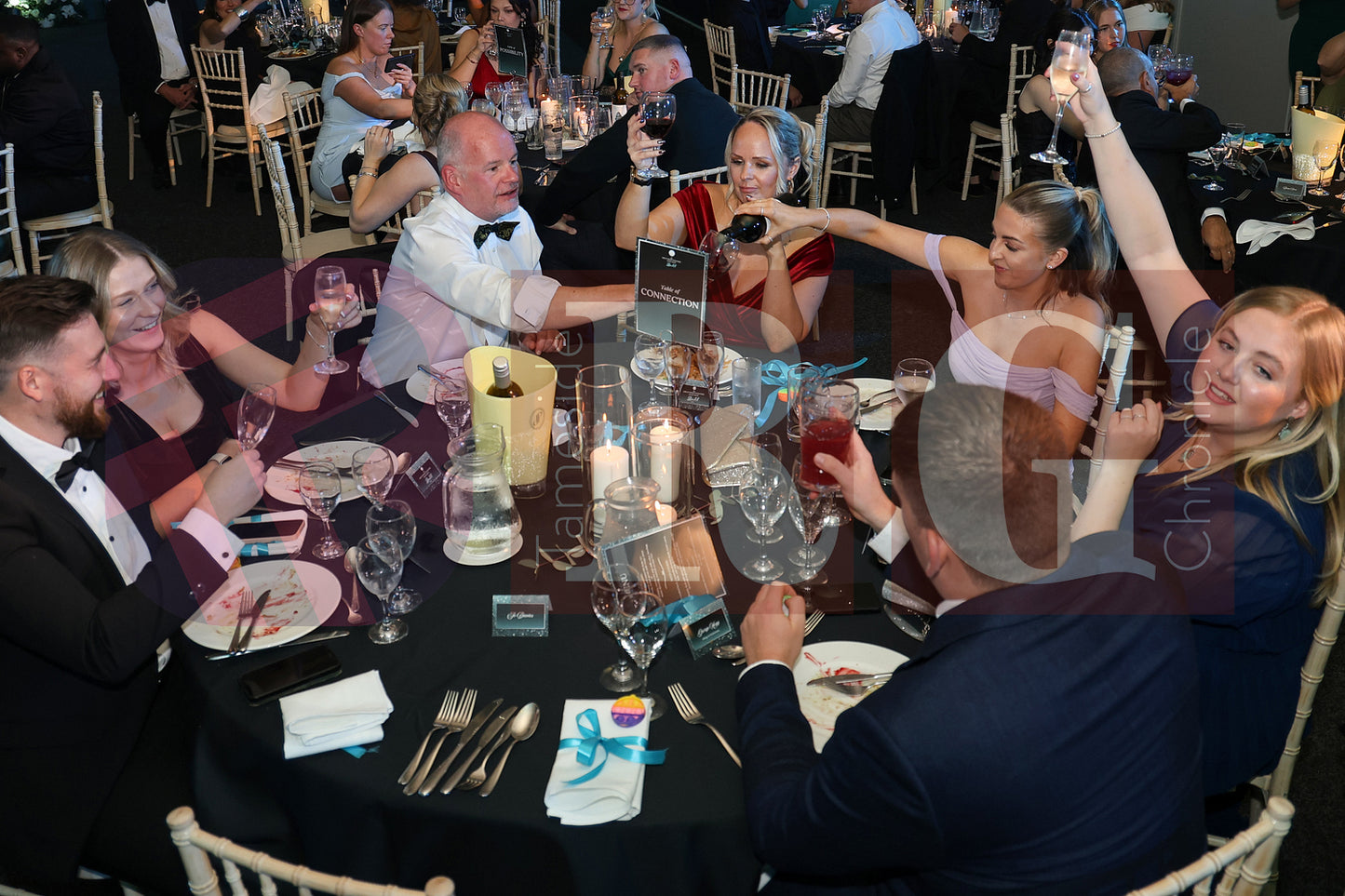 GREAT MINDS TOGETHER CHARITY BALL (196).JPG