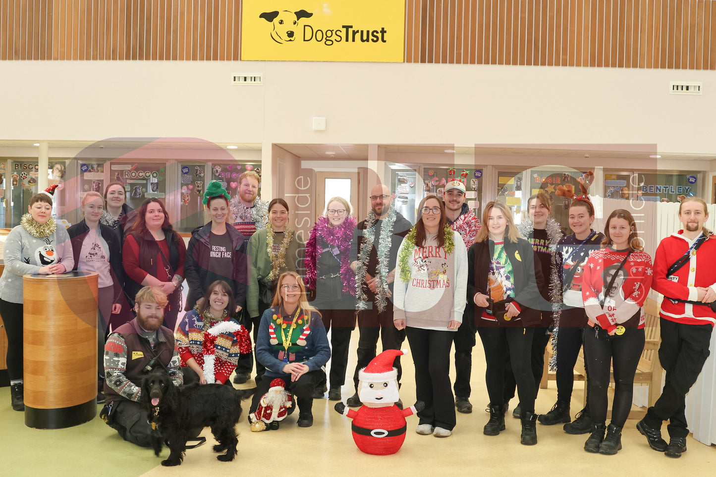 DOG TRUST DENTON JUMPER EVENT (20).JPG
