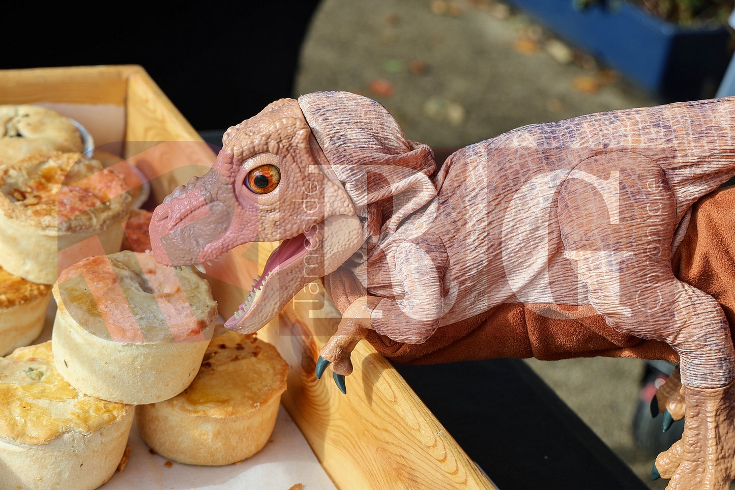 MOSSLEY FARMERS MARKET (27).JPG