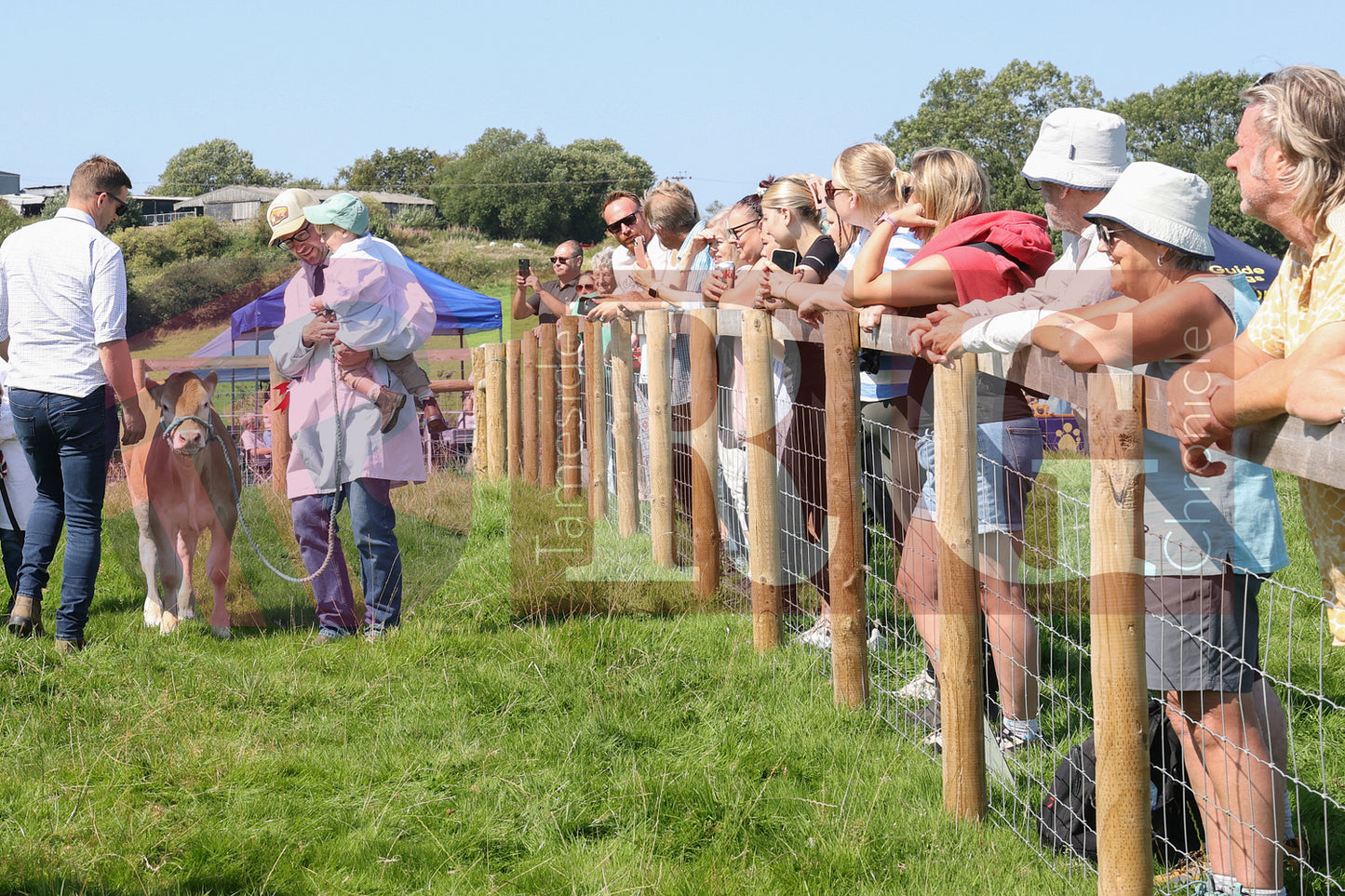 MOTTRAM SHOW 2025 (62).JPG