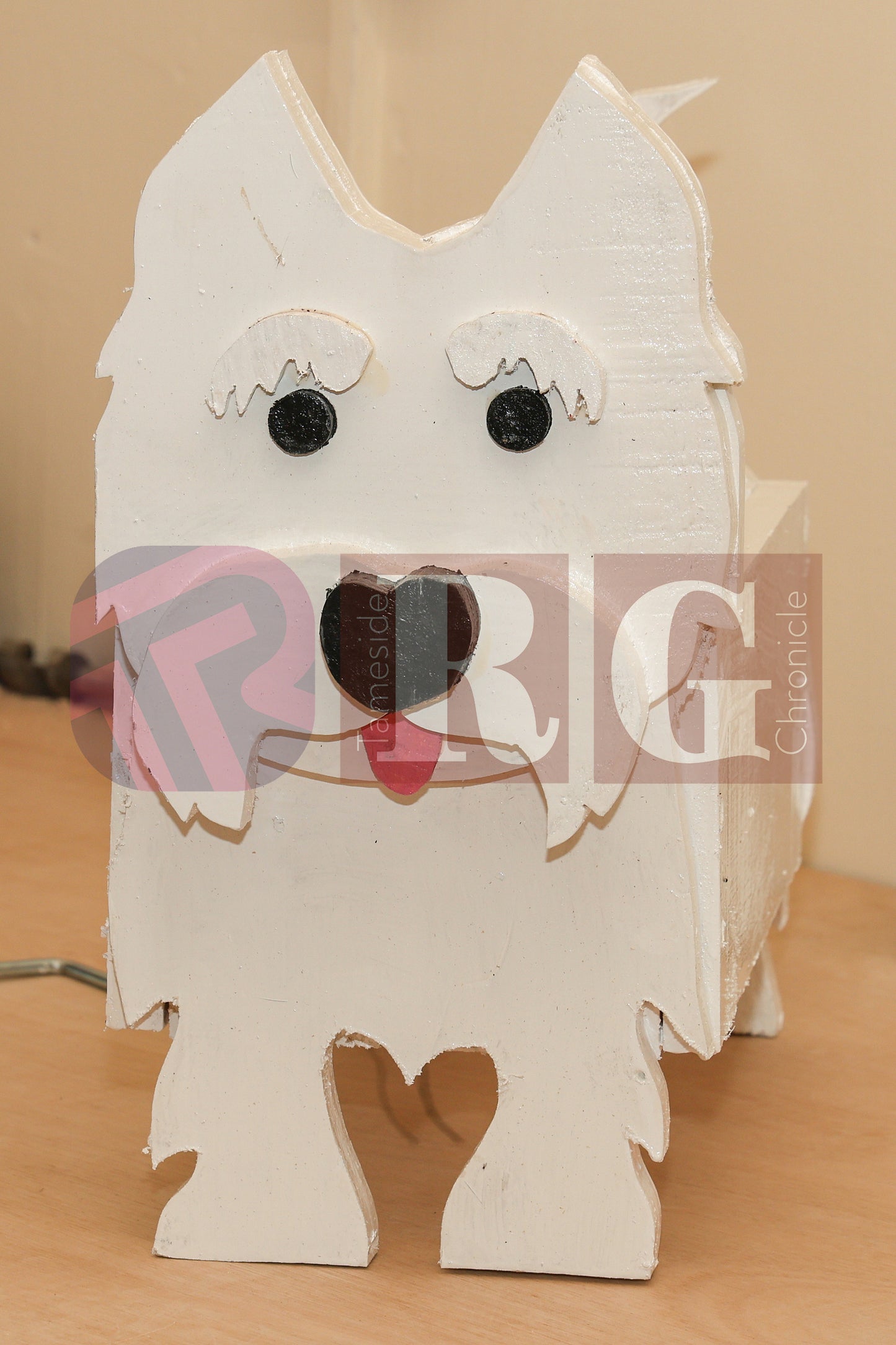 THE SHED 2025 (52).JPG