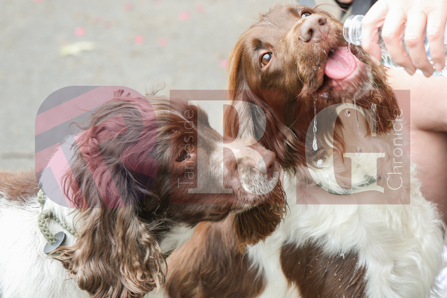 HYDE MELA 2025 (25).JPG