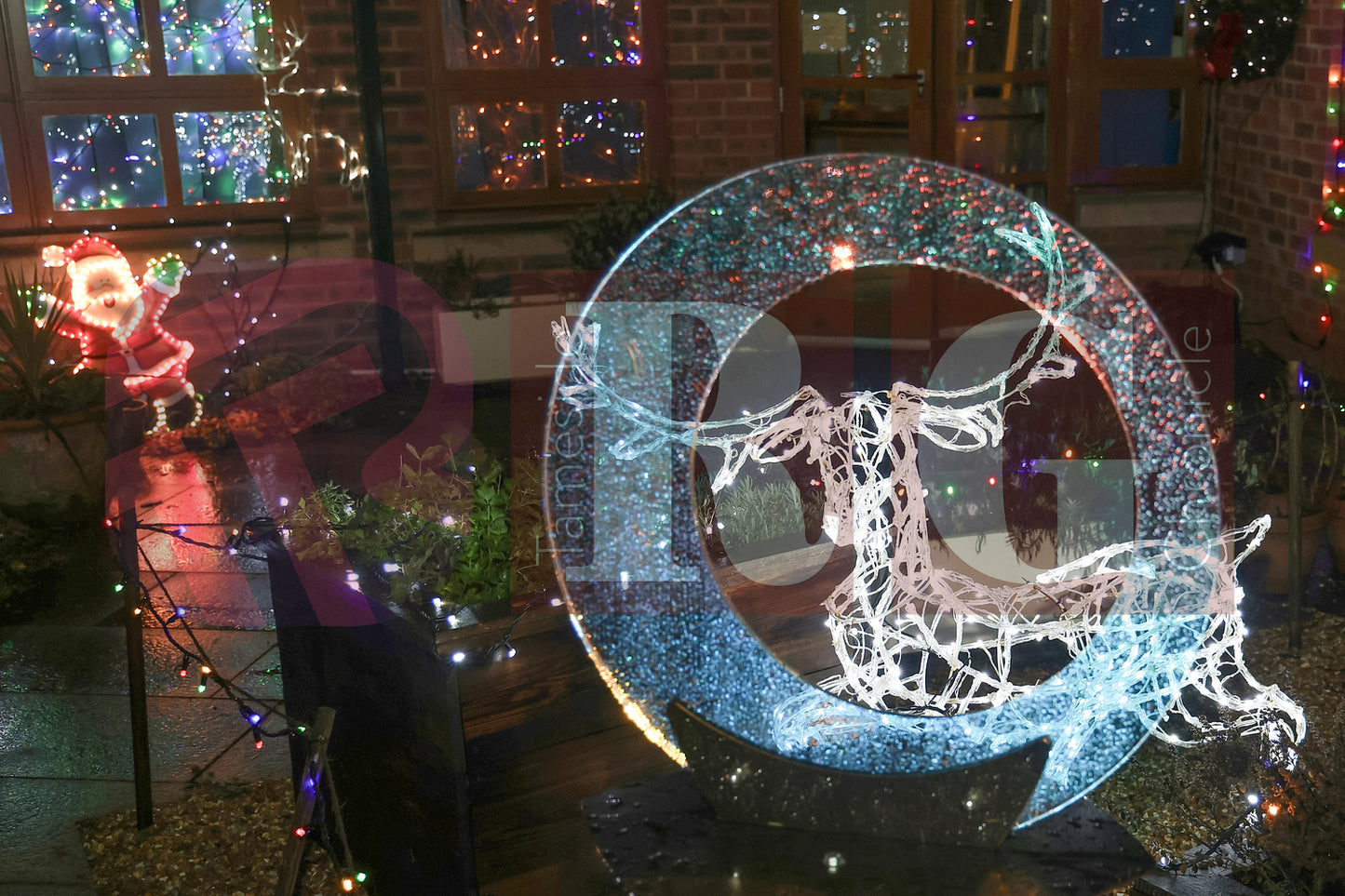 WILLOW WOOD LIGHTS 2024 (11).JPG