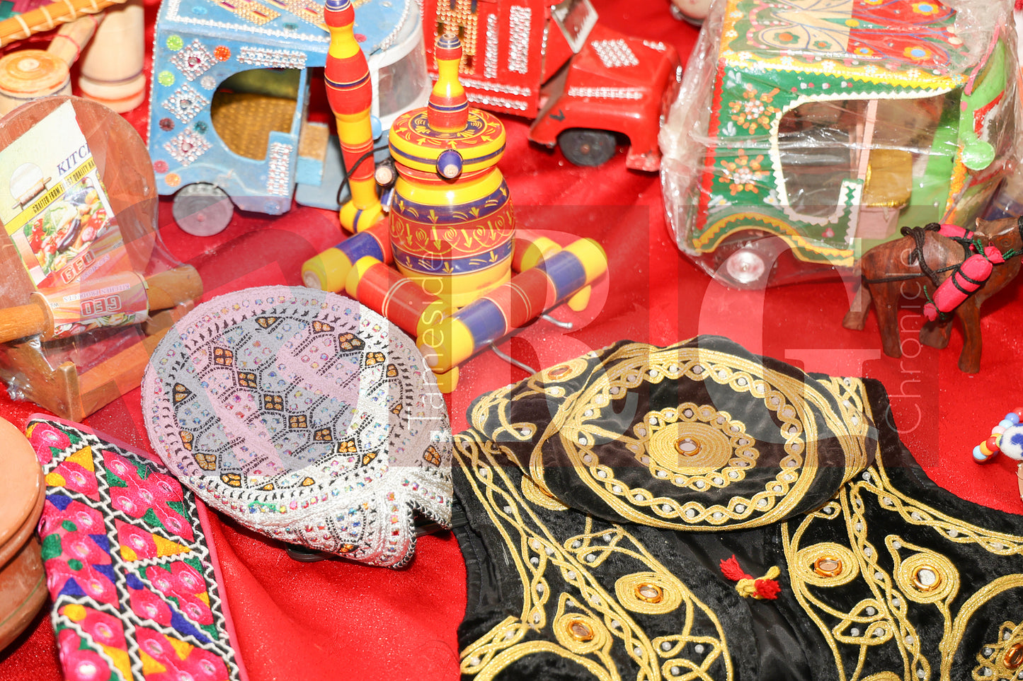 SOUTH ASIAN HERITAGE MONTH 2025 (21).JPG