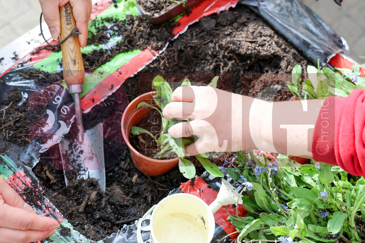 PLANT & SWAP EVENT TESCO STALYBRIDGE 2025 (53).JPG