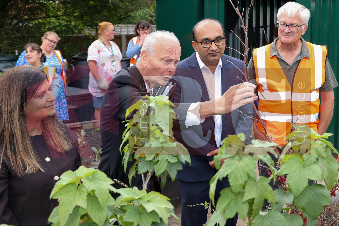 WATERLOO PARK BRITAIN IN BLOOM 2025 (27).JPG
