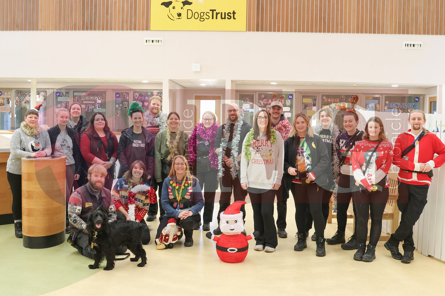 DOG TRUST DENTON JUMPER EVENT (21).JPG