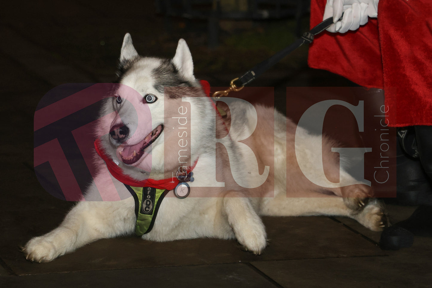 DROYLSDEN LIGHTS SWITCH ON 2024 (46).JPG