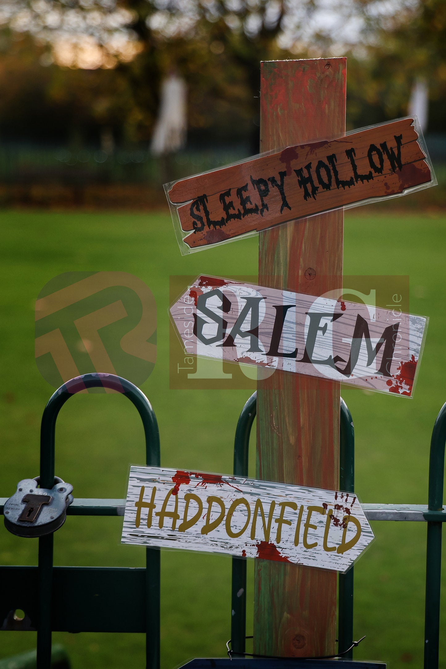 HALLOWEEN WATERLOO PARK (4).JPG