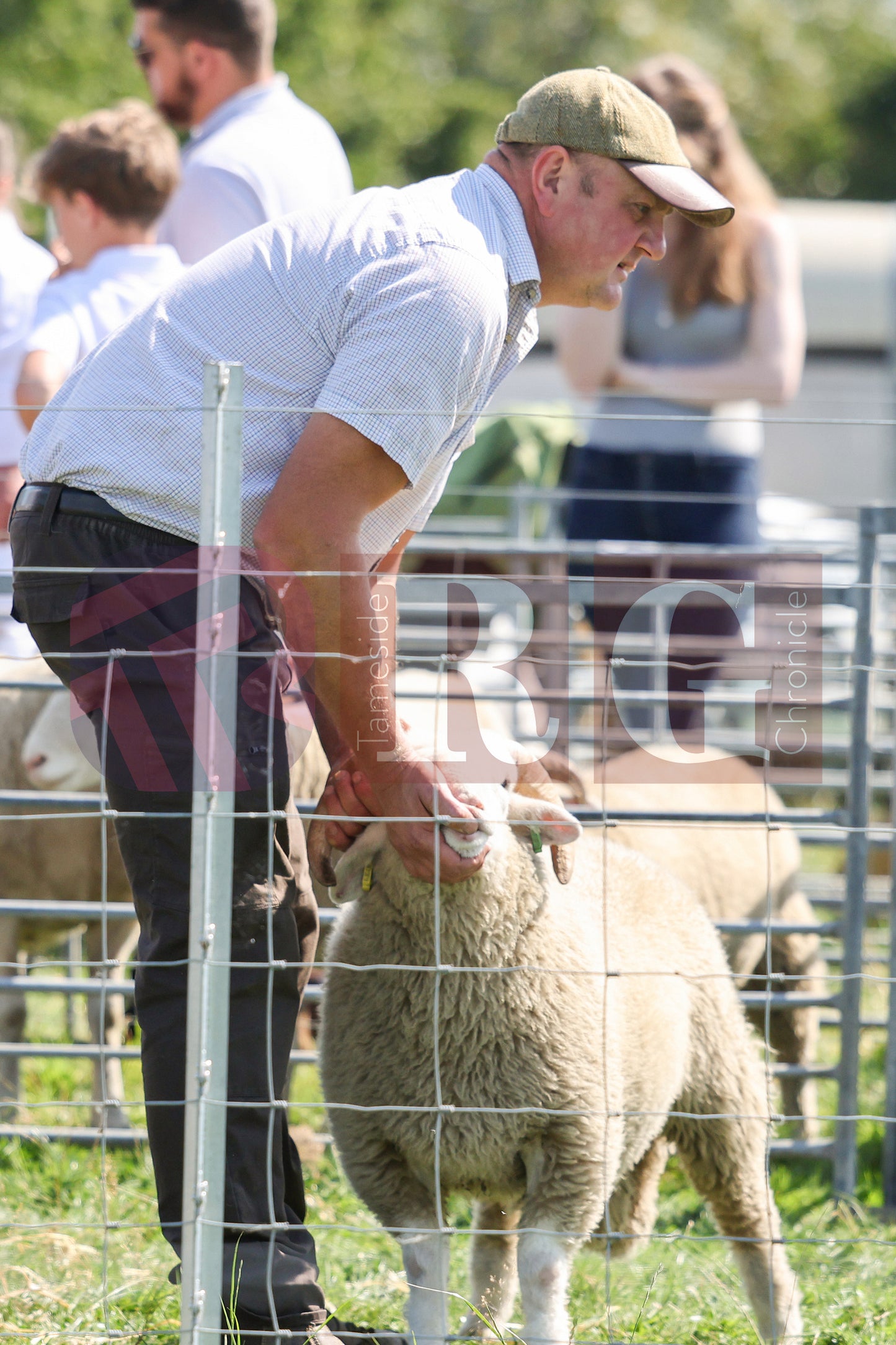 MOTTRAM SHOW 2025 (180).JPG
