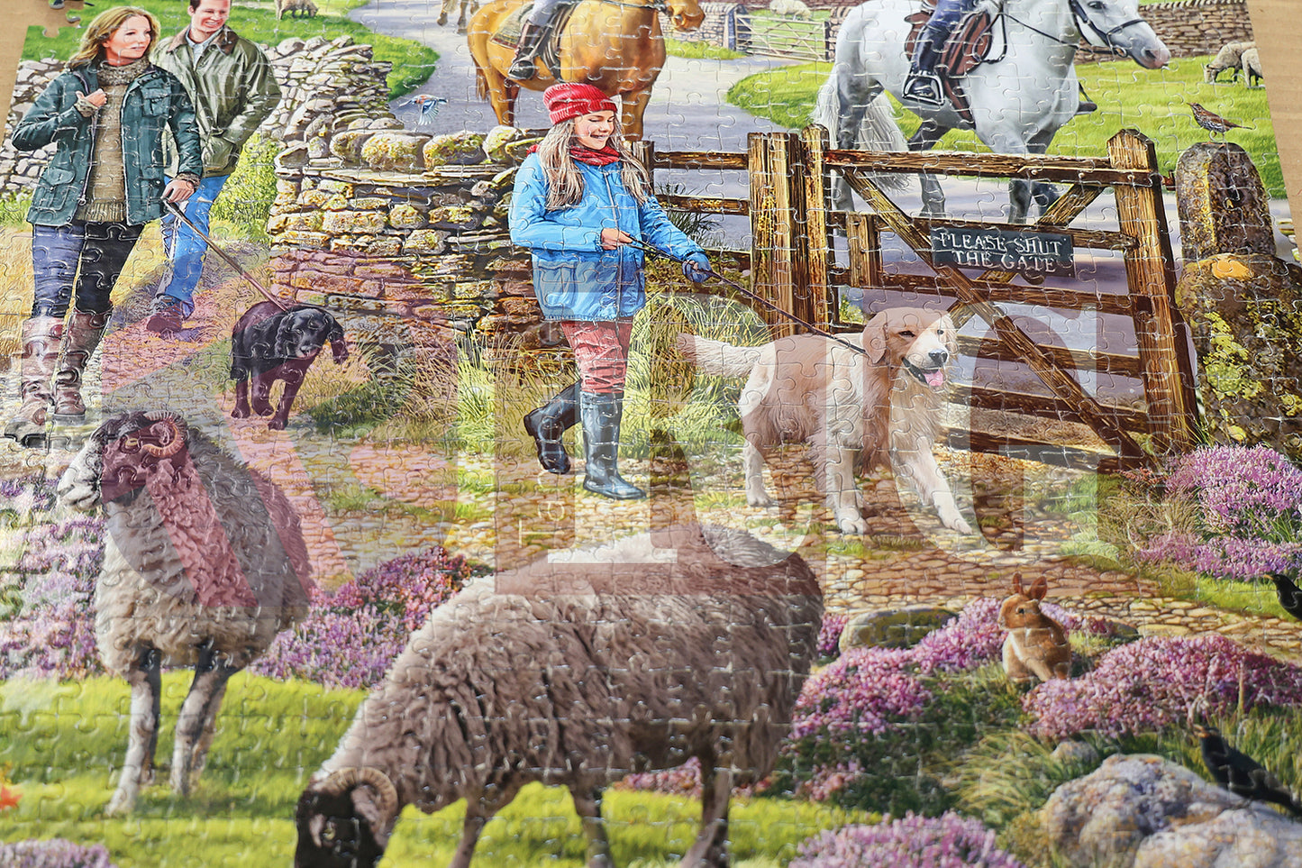 ST ANDREWS CHURCH JIGSAW FESTIVAL (39).JPG