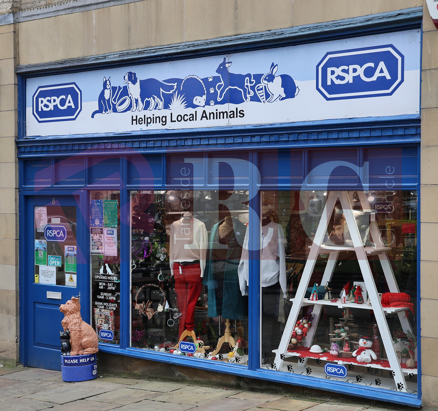 GLOSSOP SHOP XMAS WINDOWS 2024 (43).JPG