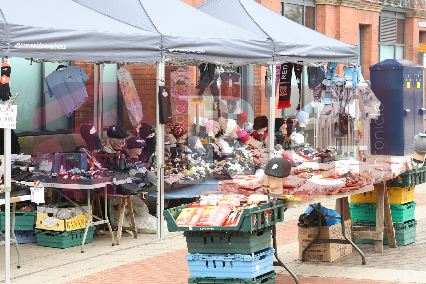LOVE IN THE MARKET ASHTON 2025 (60).JPG