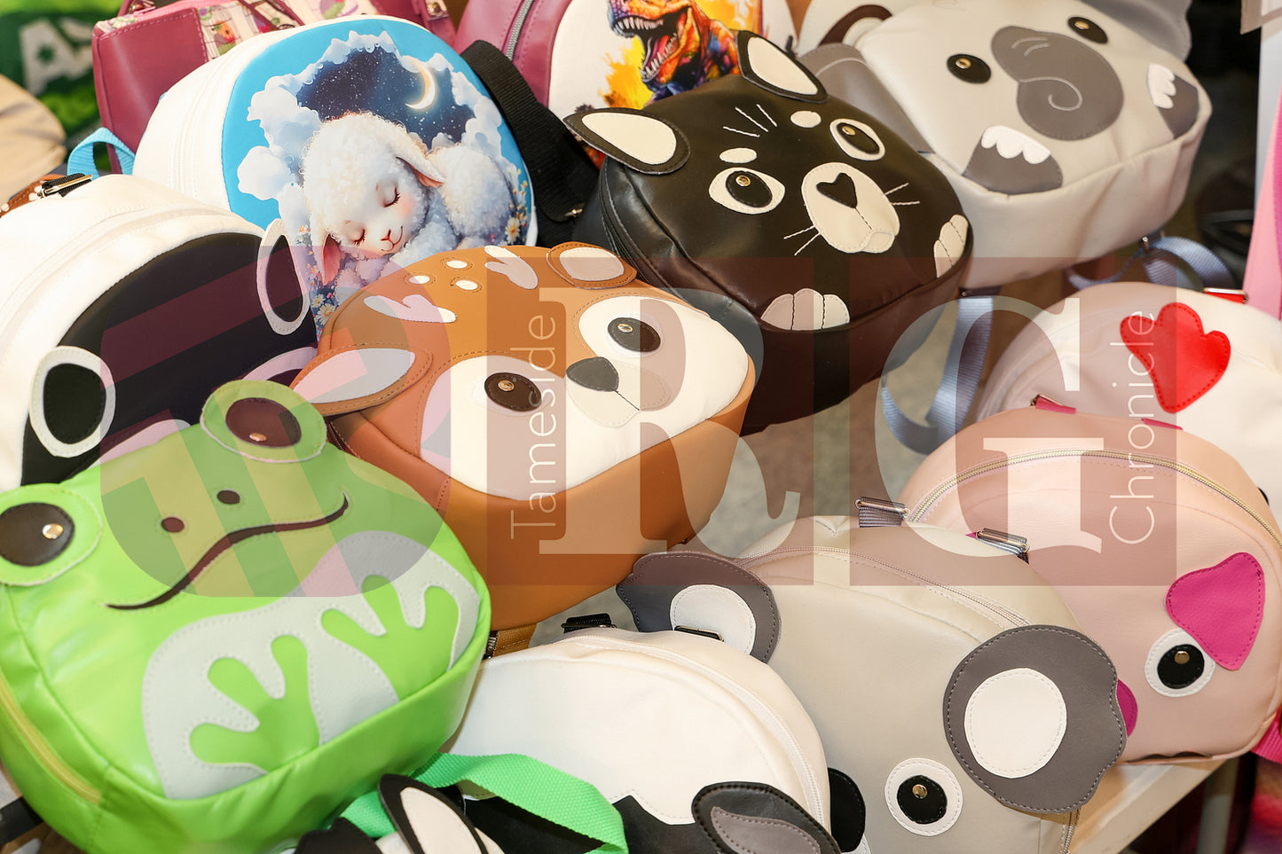 COMMUNITY FAIR ST. GEORGE'S SCHOOL MOSSLEY (13).JPG