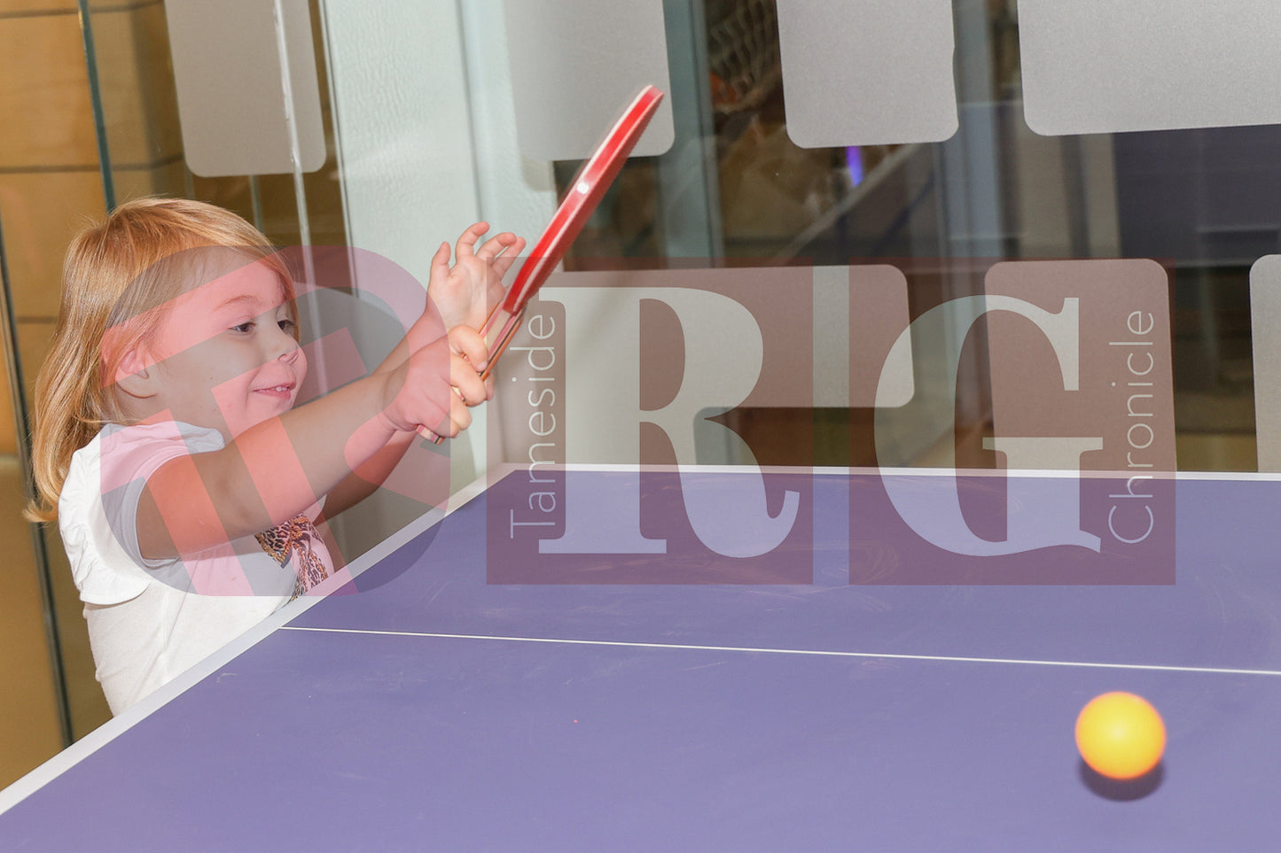 FAMILY FUN DAY ASHTON OLD BATHS (51).JPG