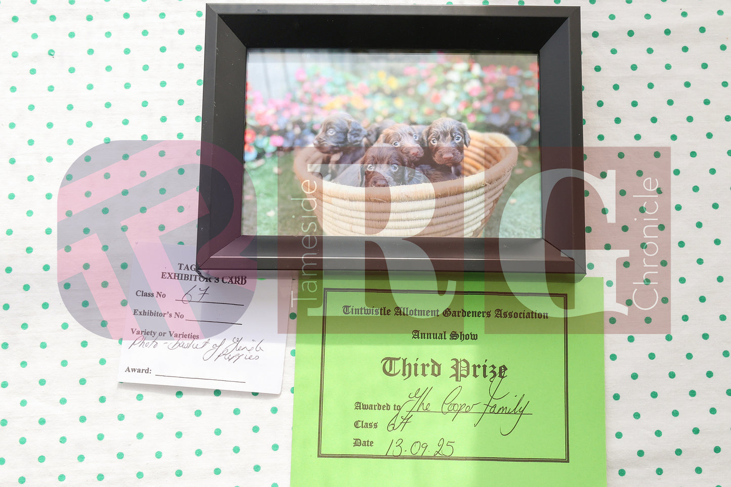 TINTWISTLE GARDENERS SHOW (55).JPG