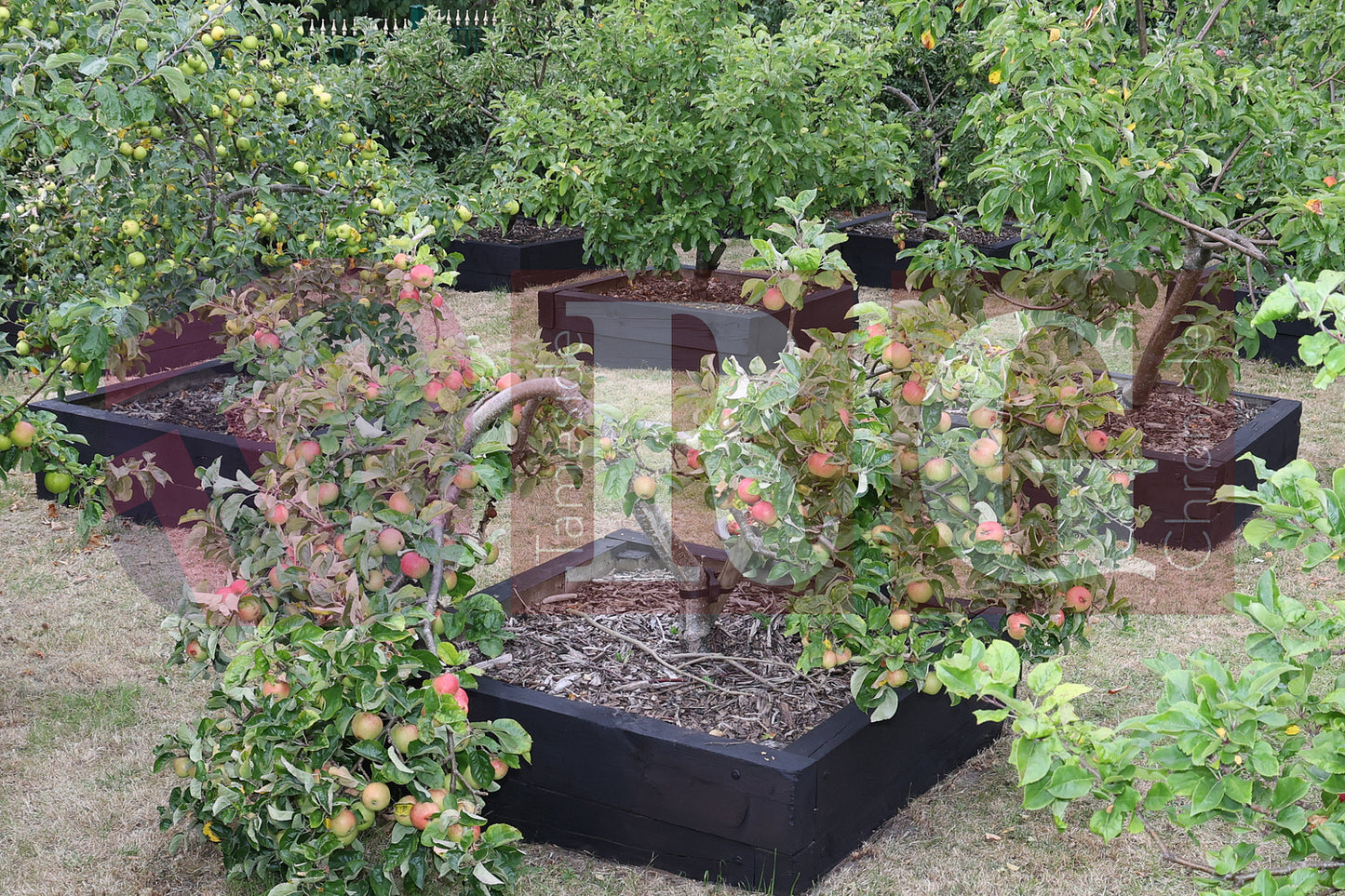 WATERLOO PARK BRITAIN IN BLOOM 2025 (54).JPG