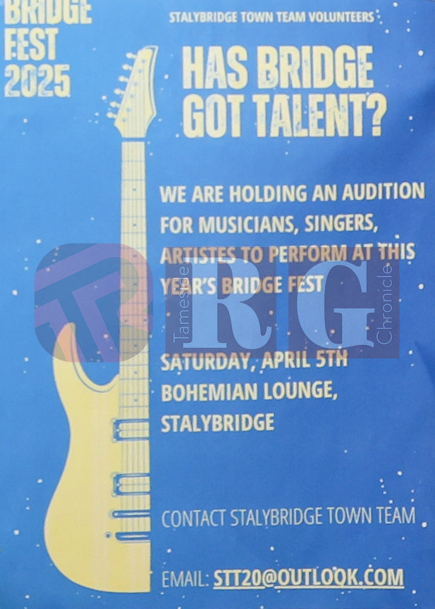 BRIDGE GOT TALENT AUDITIONS 2025 (1).jpg