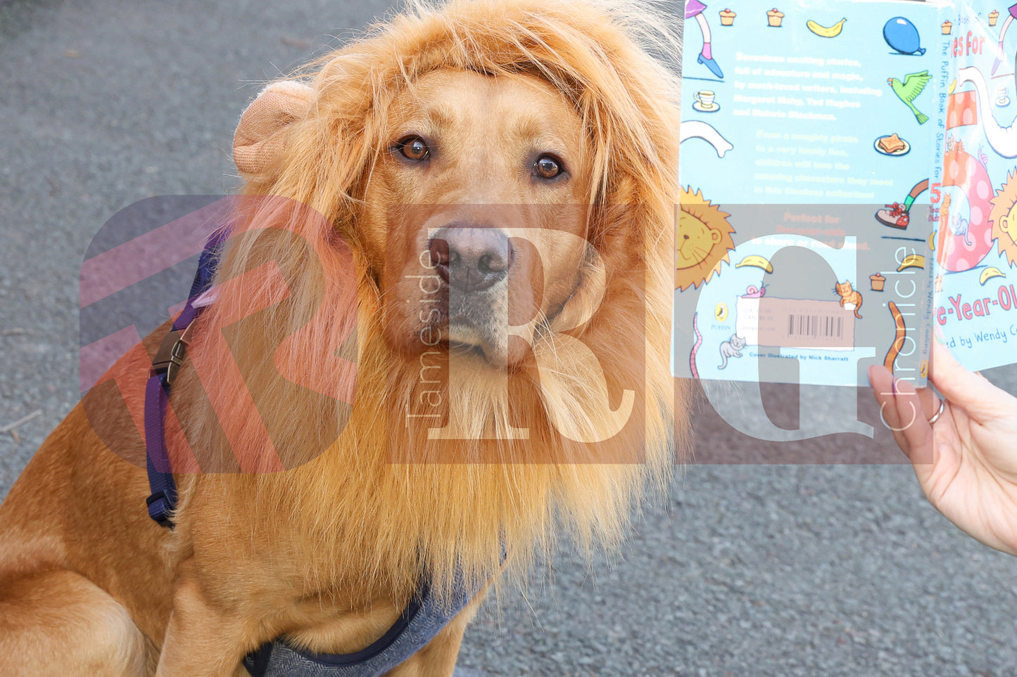 WILD BANK WORLD BOOK DAY 2025 (21).JPG