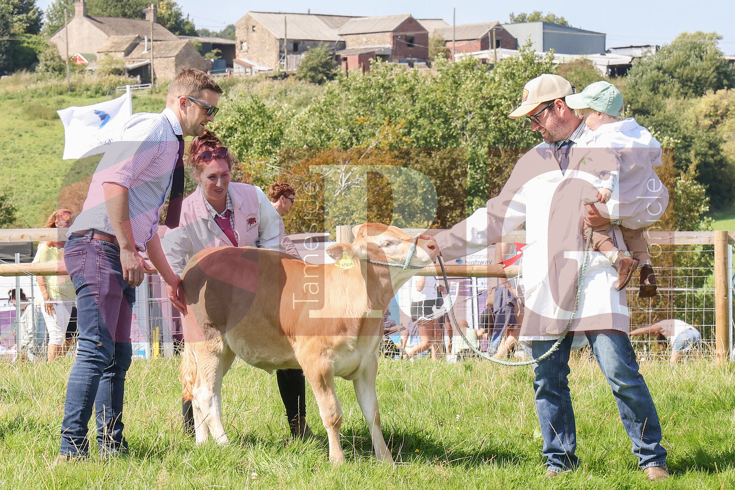 MOTTRAM SHOW 2025 (60).JPG
