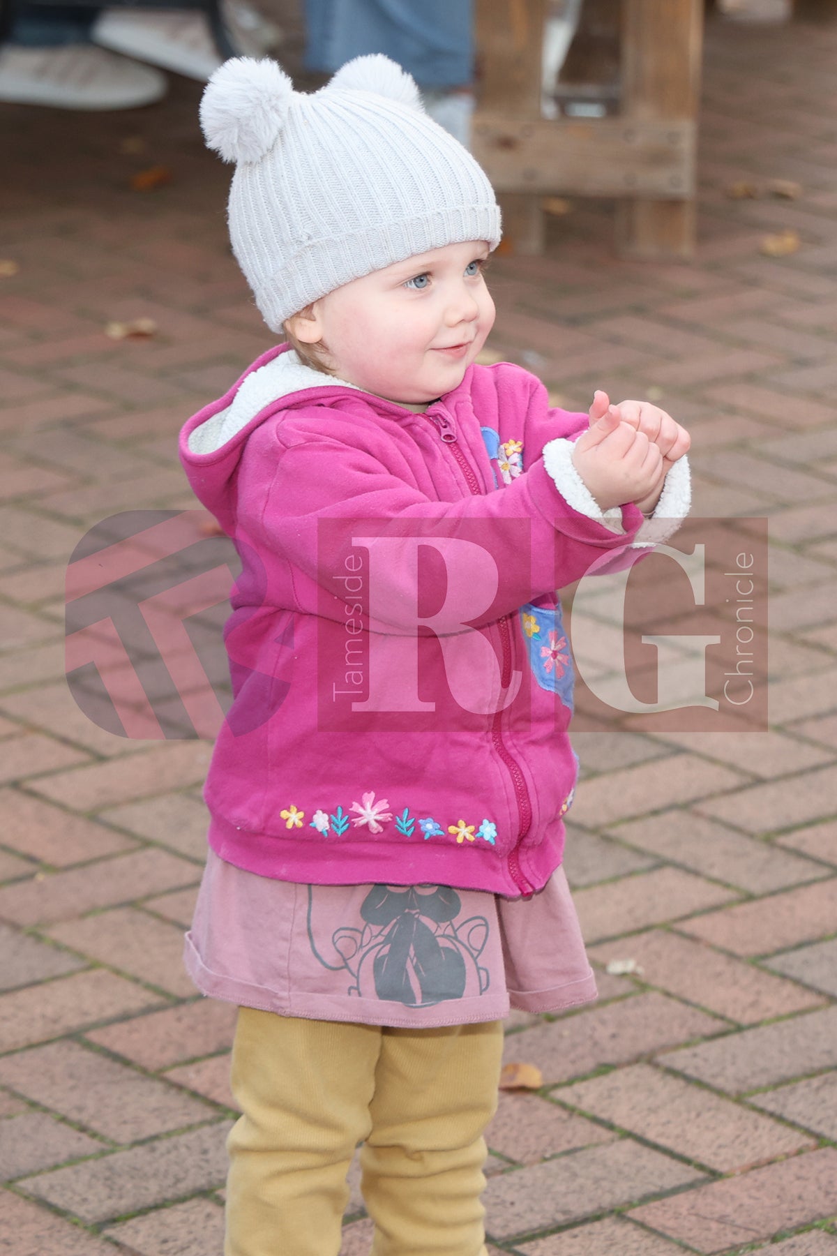 STALYBRIDGE STREET FEST (40).JPG