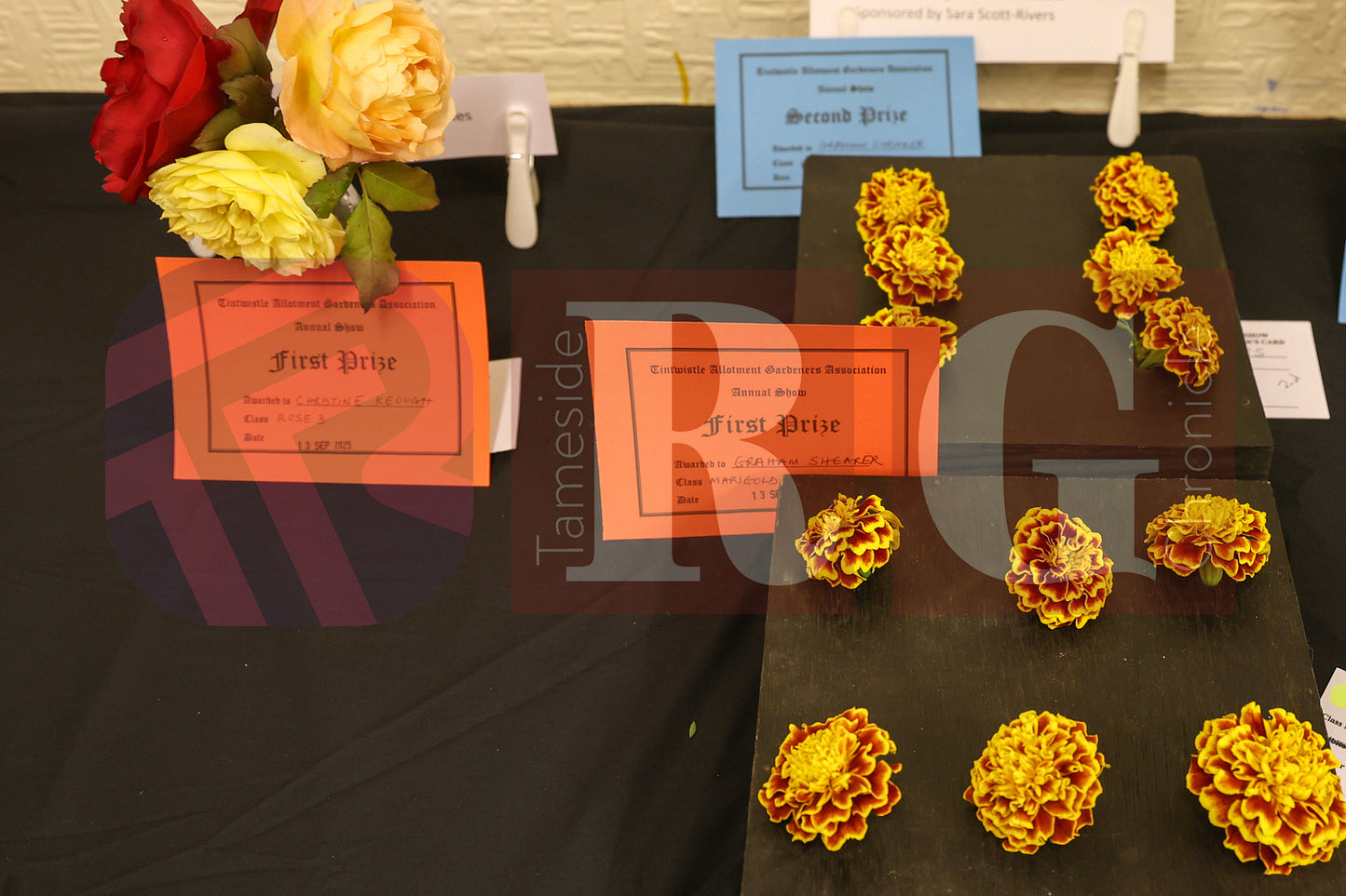 TINTWISTLE GARDENERS SHOW (30).JPG