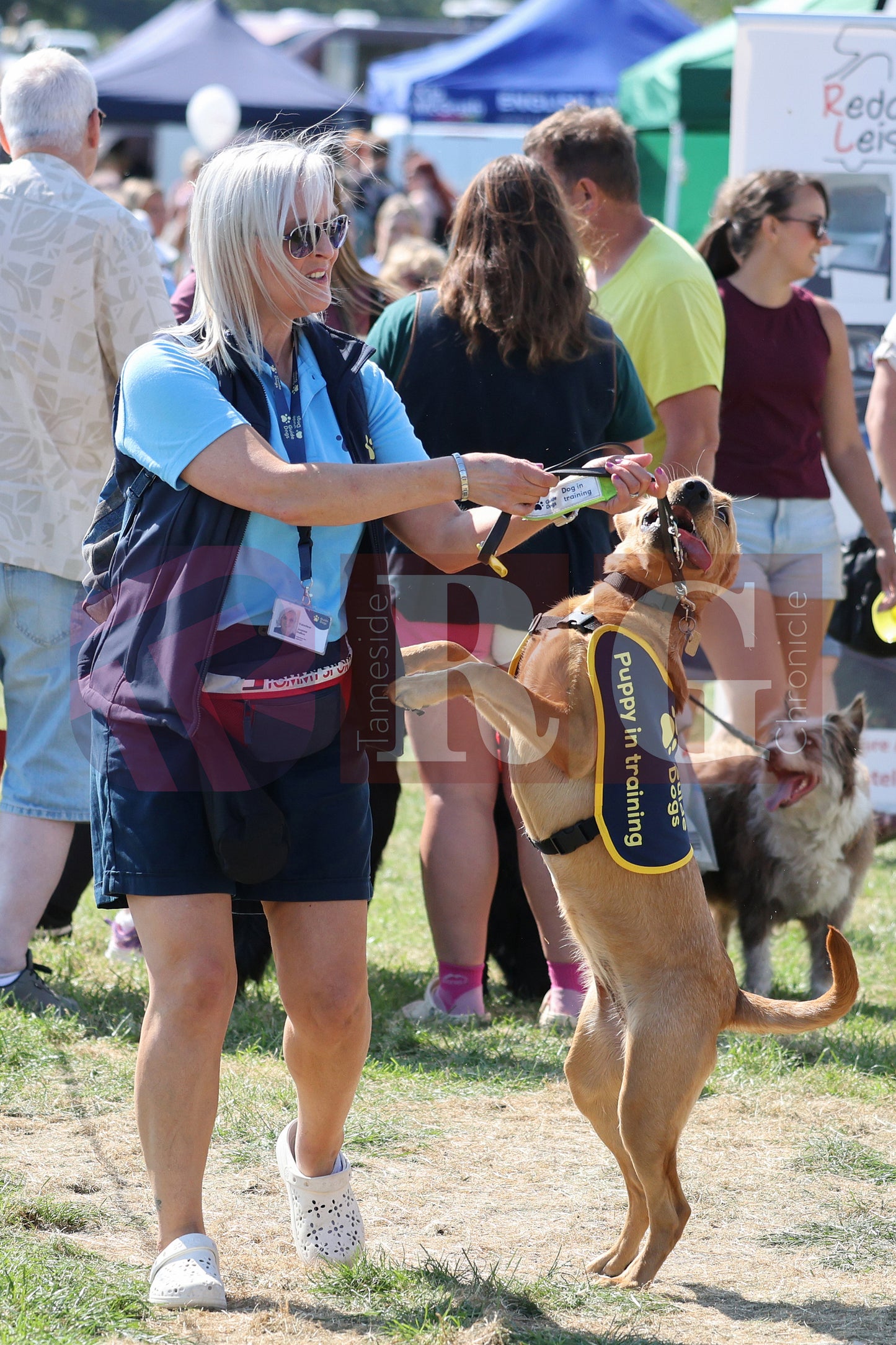 MOTTRAM SHOW 2025 (182).JPG