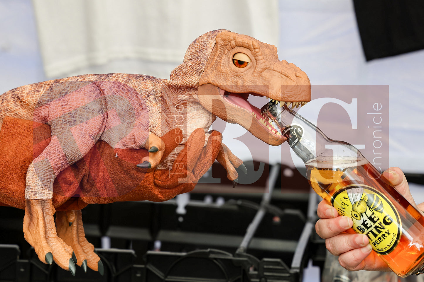 MOSSLEY FARMERS MARKET (28).JPG