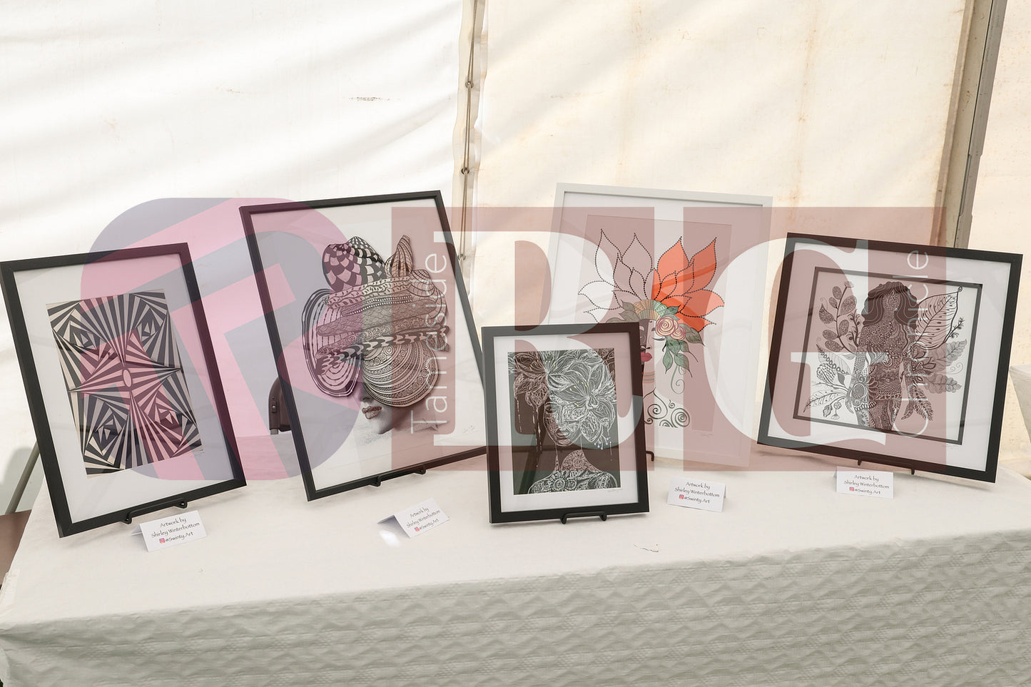 MOTTRAM SHOW 2025 (17).JPG