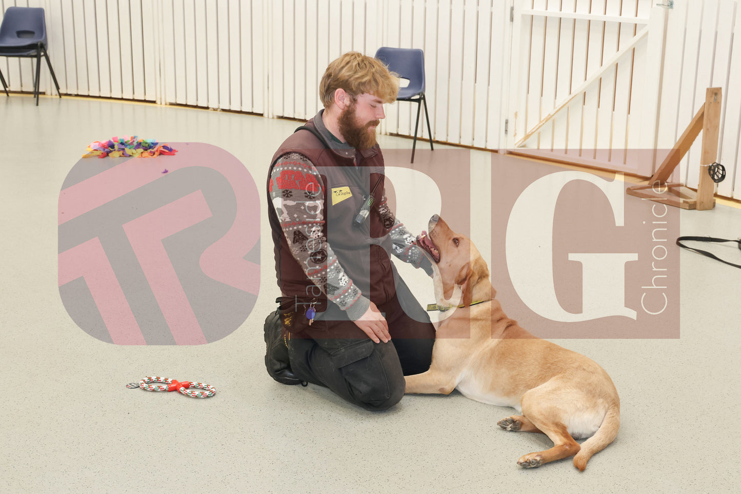 DOG TRUST DENTON JUMPER EVENT (15).JPG