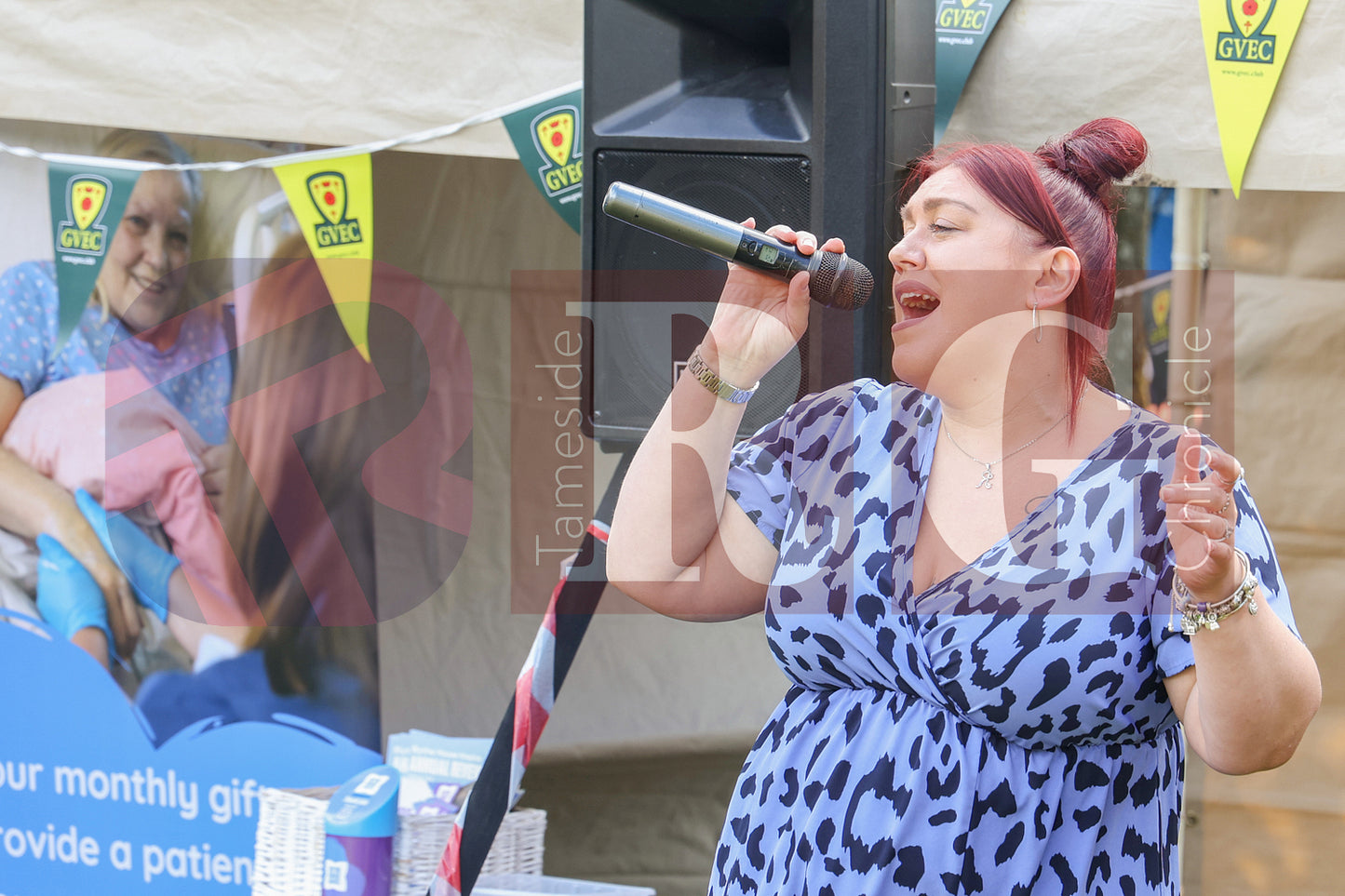 GLOSSOP CAR SHOW (102).JPG