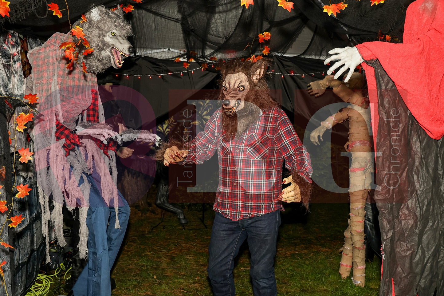 PIRATES OF THE HALLOWE'EN' HADFIELD (57).JPG