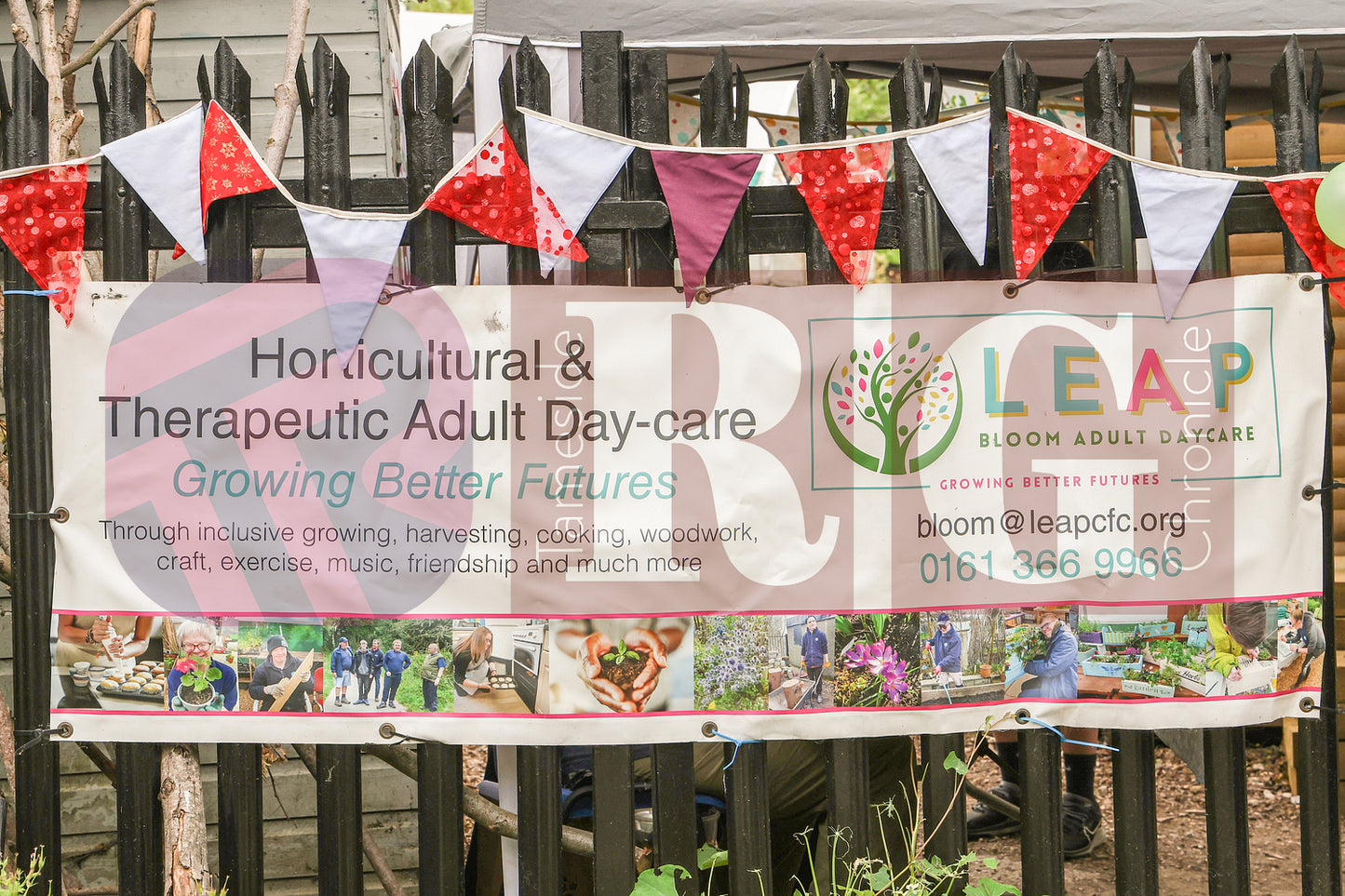 BLOOM FUN DAY HYDE (2).JPG