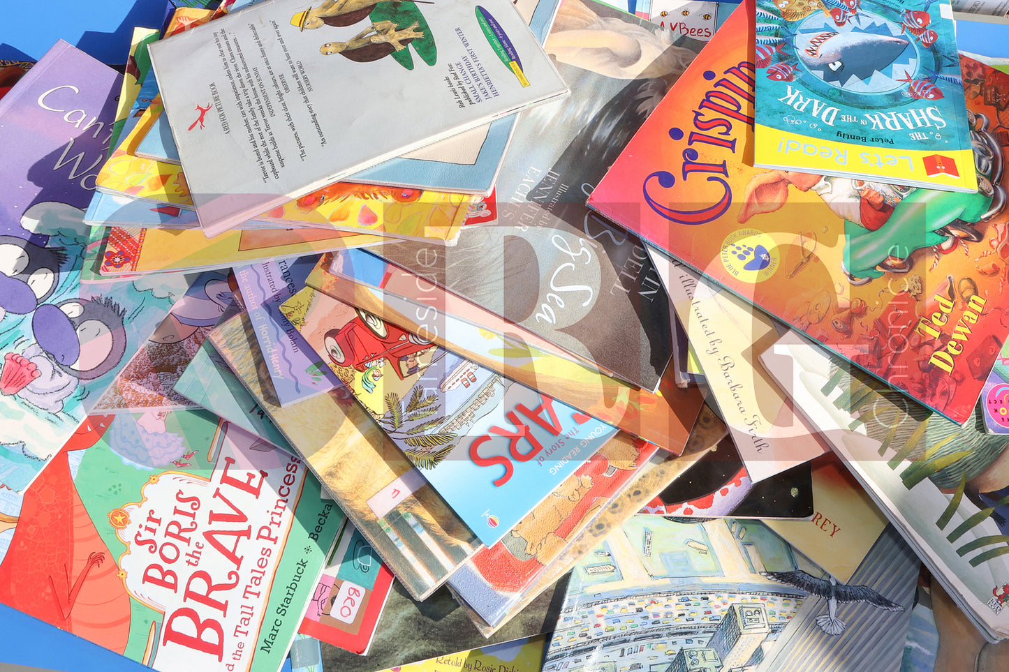 WILD BANK WORLD BOOK DAY 2025 (33).JPG