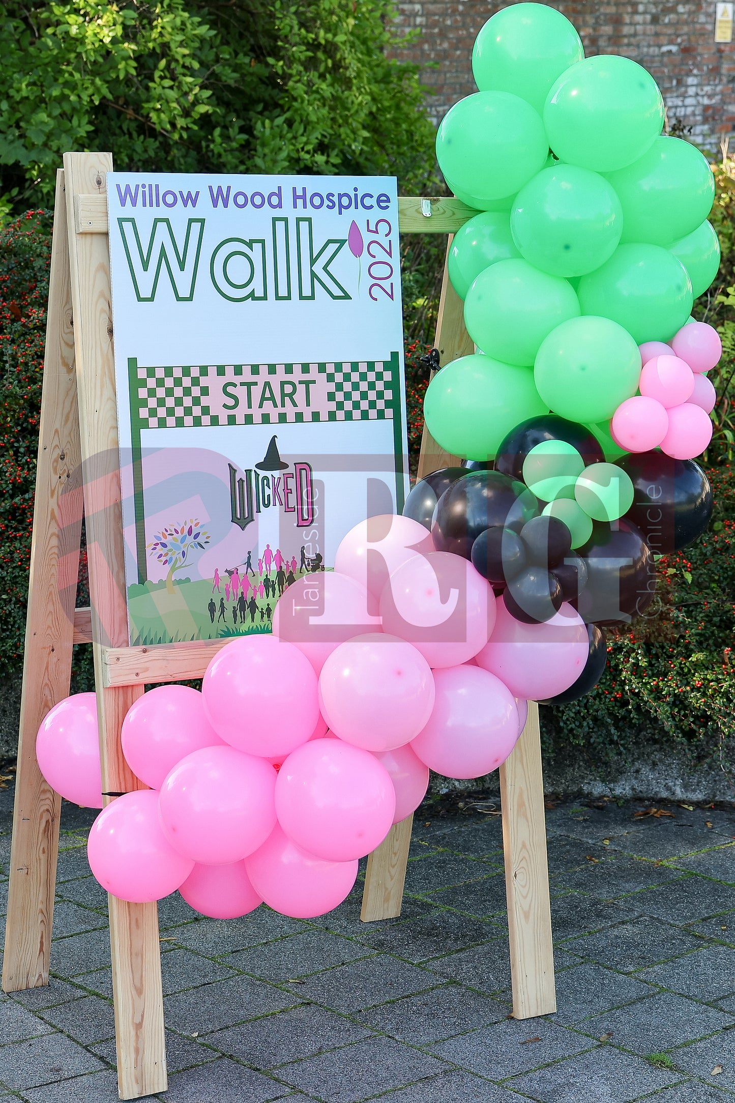 WILLOW WOOD WICKED WALK (1).JPG