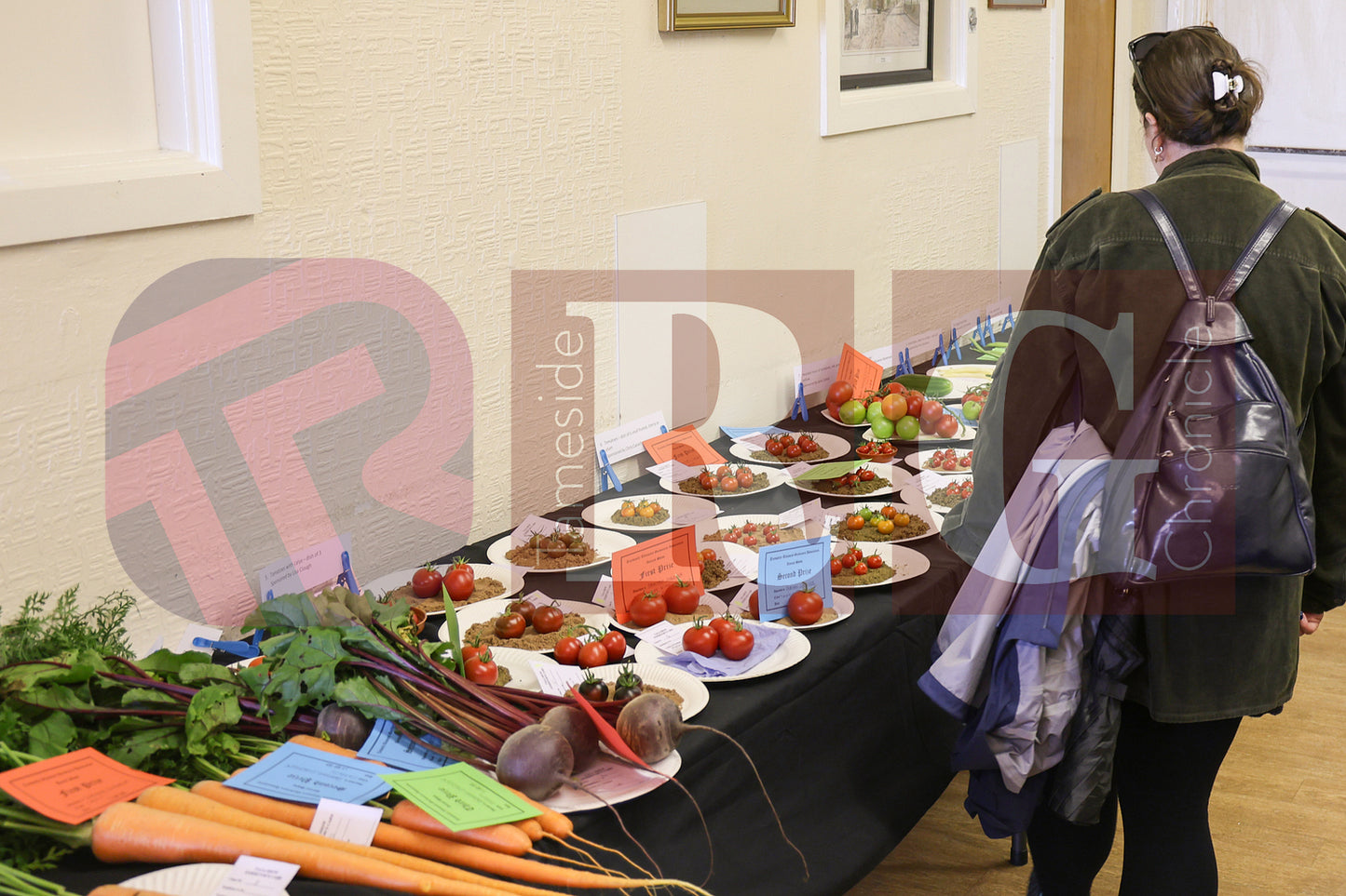 TINTWISTLE GARDENERS SHOW (11).JPG