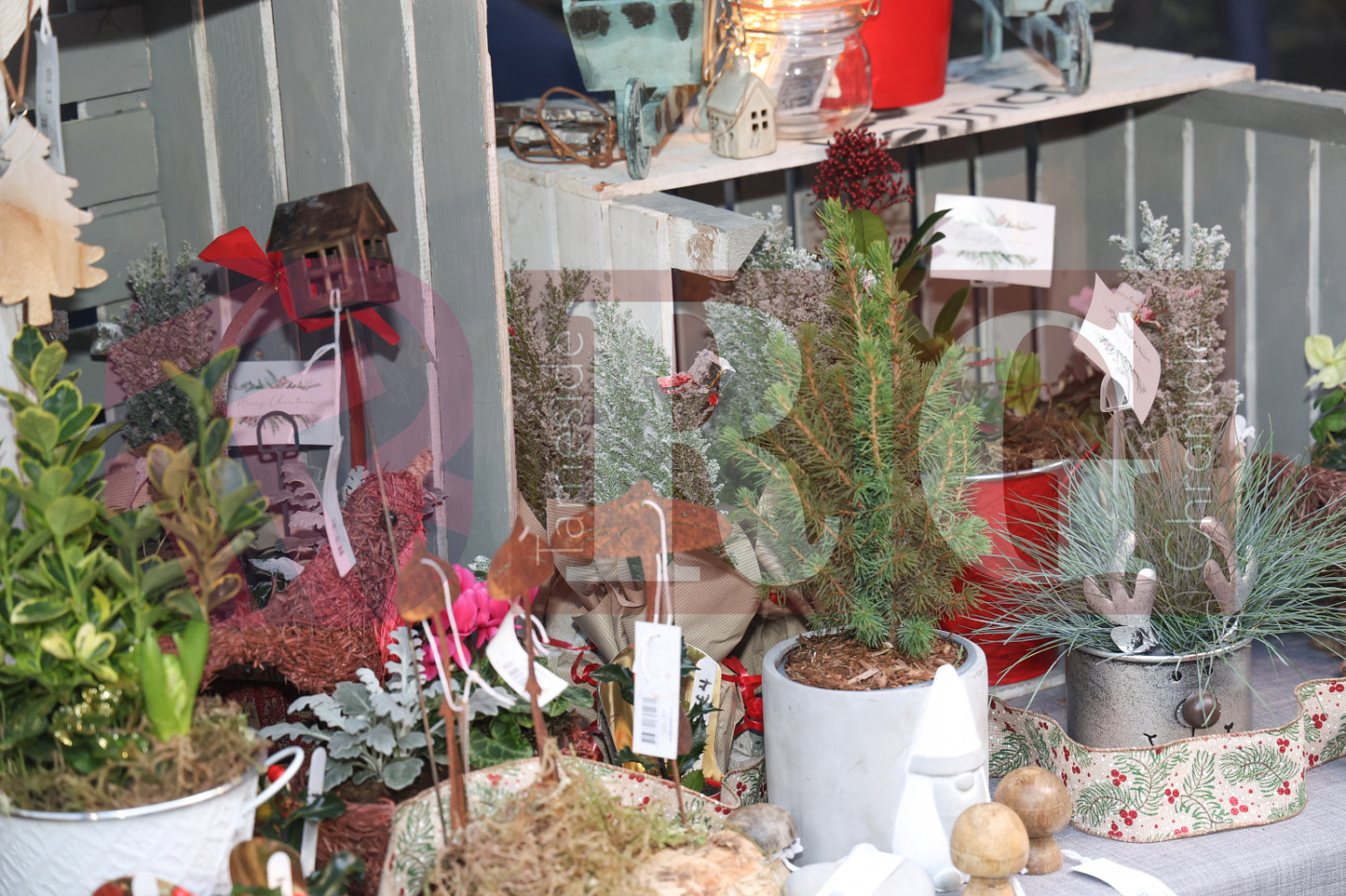 GLOSSOP CHRISTMAS MARKET 2024 (39).JPG