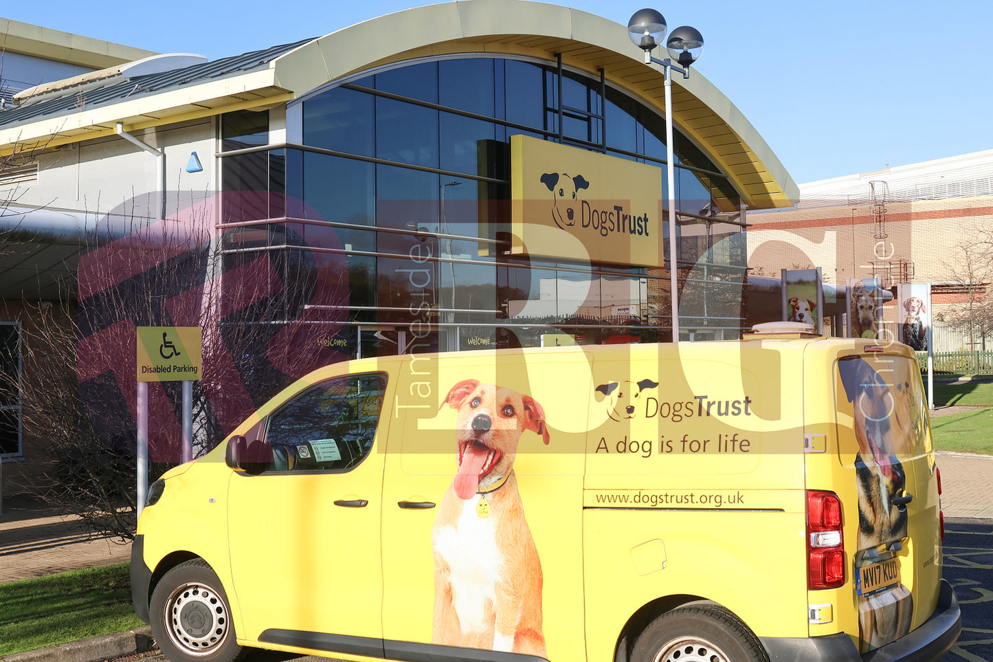 DOG TRUST DENTON JUMPER EVENT (32).JPG