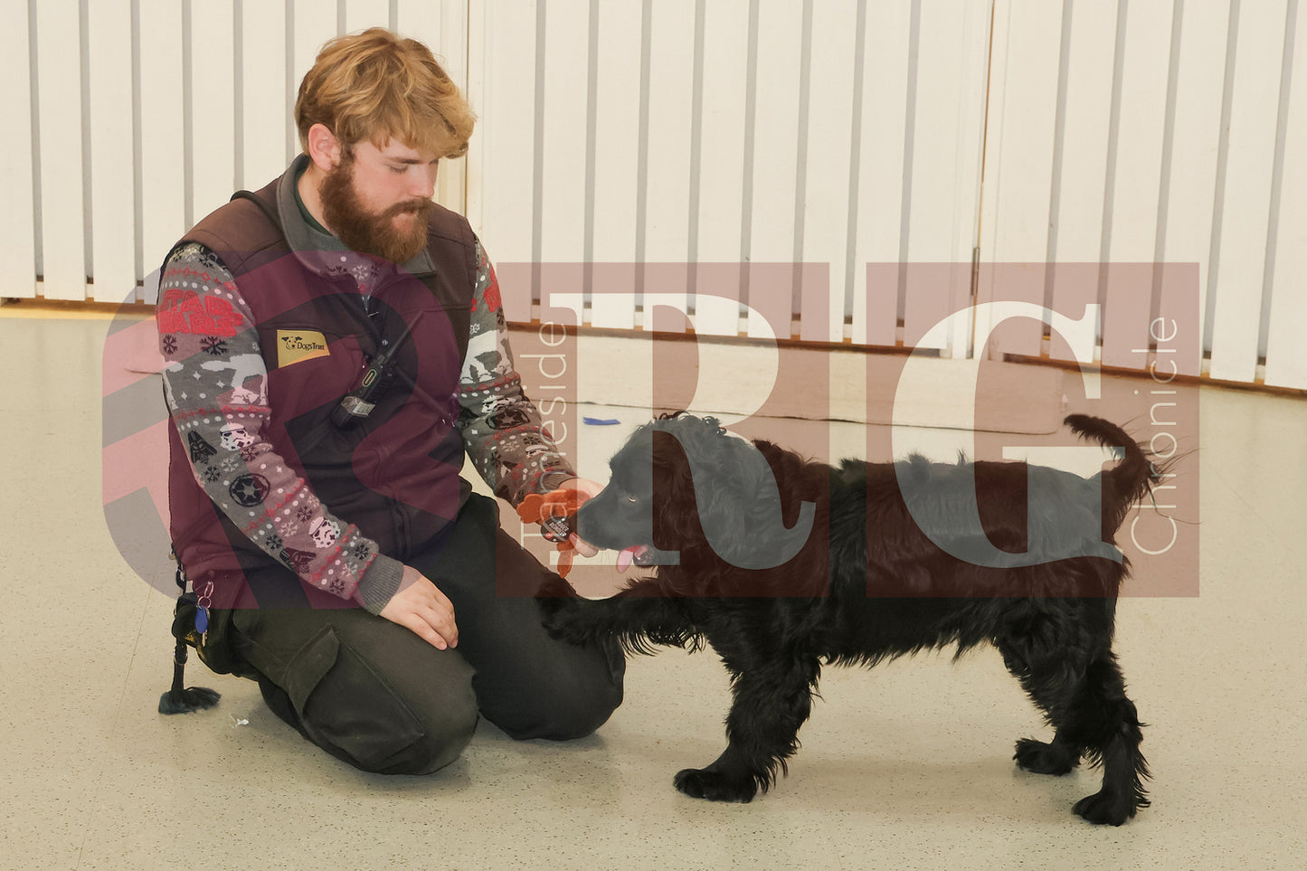 DOG TRUST DENTON JUMPER EVENT (28).JPG