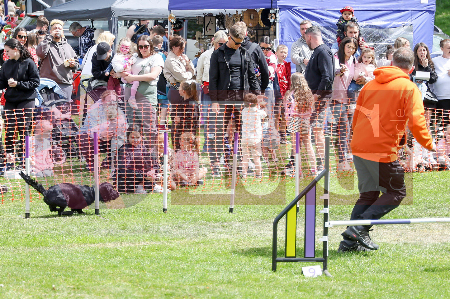 STALYBRIDGE SPRING SHOW (88).JPG