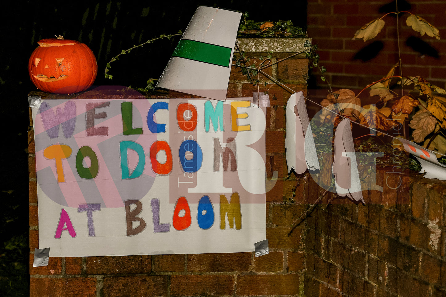 HALLOWEEN PARTY AT BLOOM HYDE (58).JPG