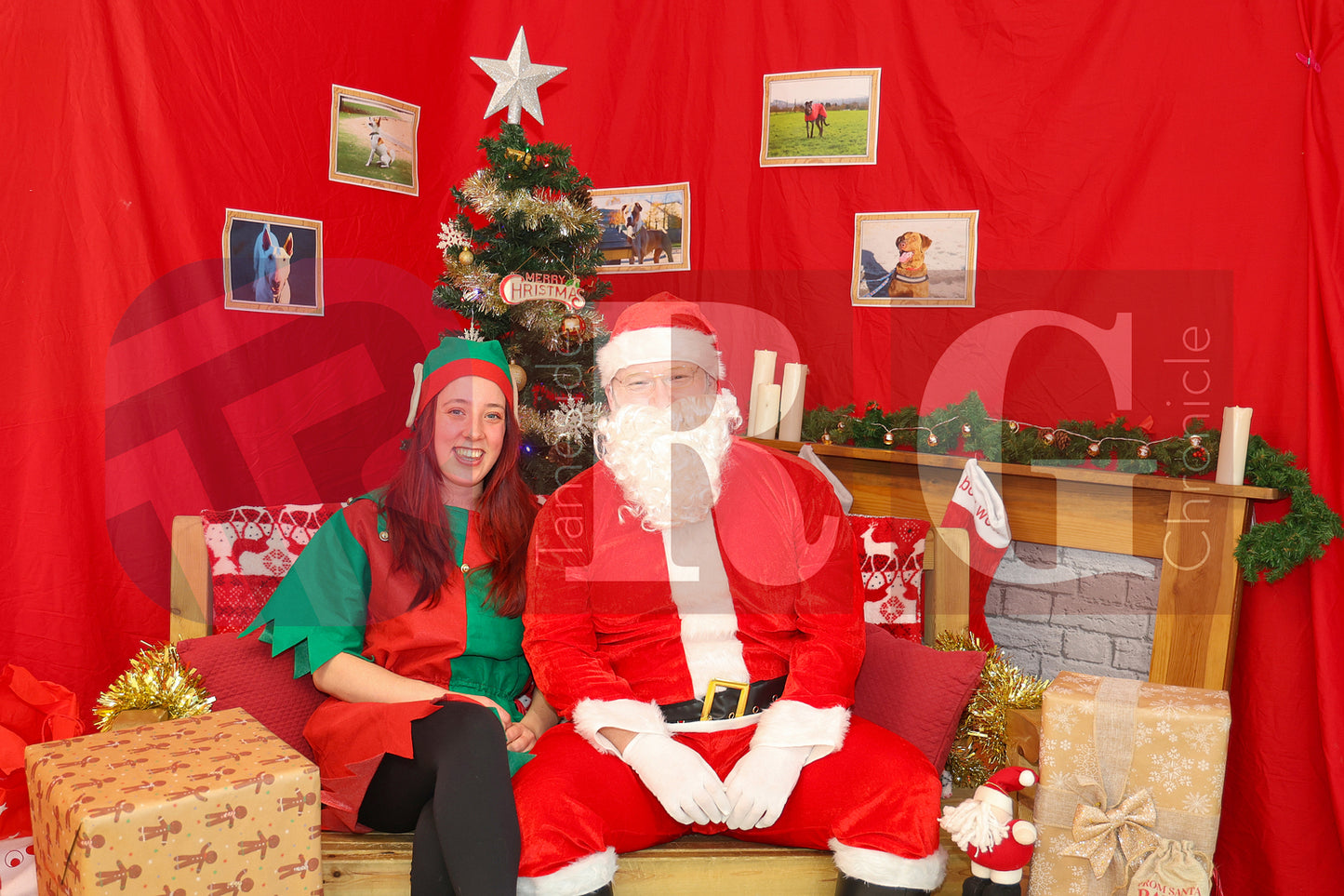 DOG TRUST DENTON XMAS (21).JPG