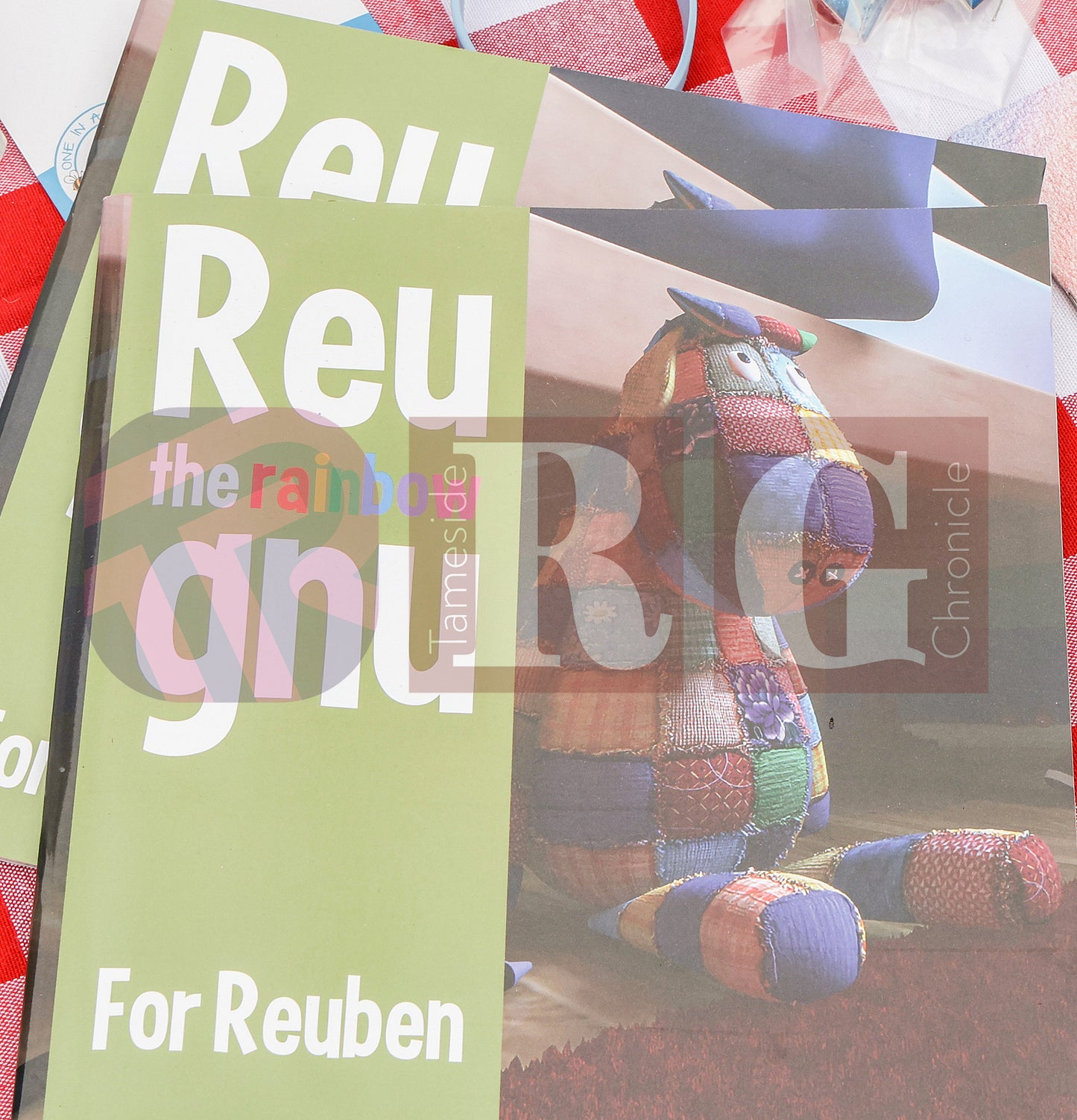 REUBEN'S RETREAT CELEBRATION DAY NORFOLK SQUARE (85).JPG