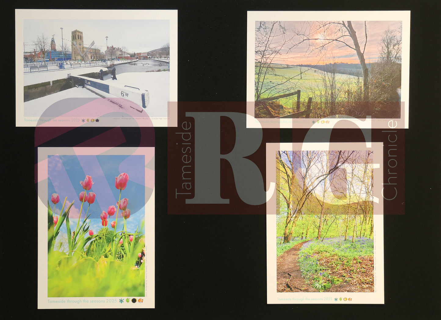 THROUGH THE SEASONS CALENDER 2025 (13).JPG